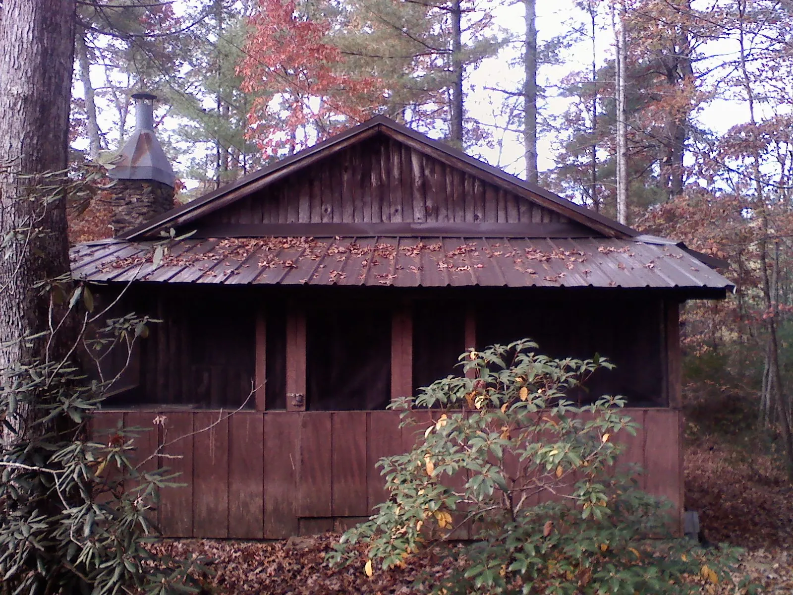 Metal roof over the screened porch of a rustic cabin in York